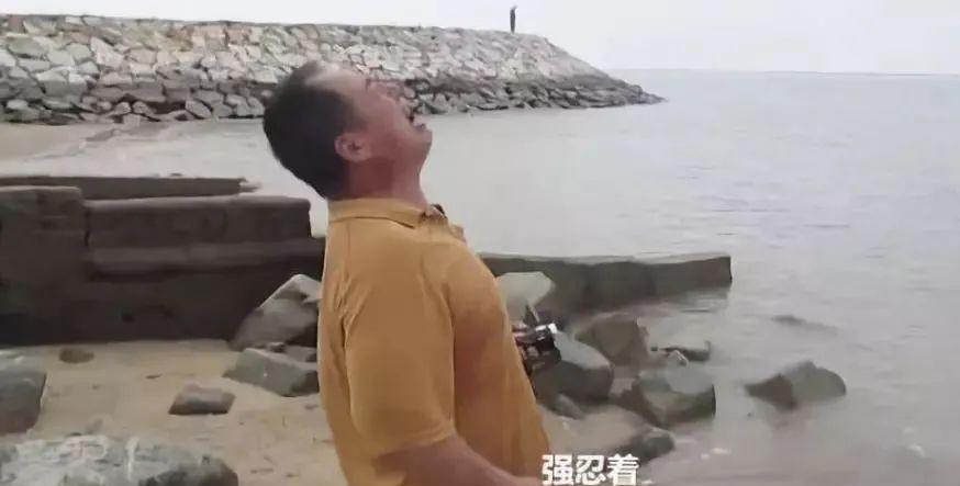 马航最新动态,观点阐述与深度分析