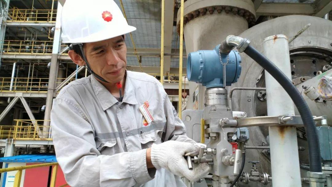 最新合同法全文,力量之源与成就感的基石