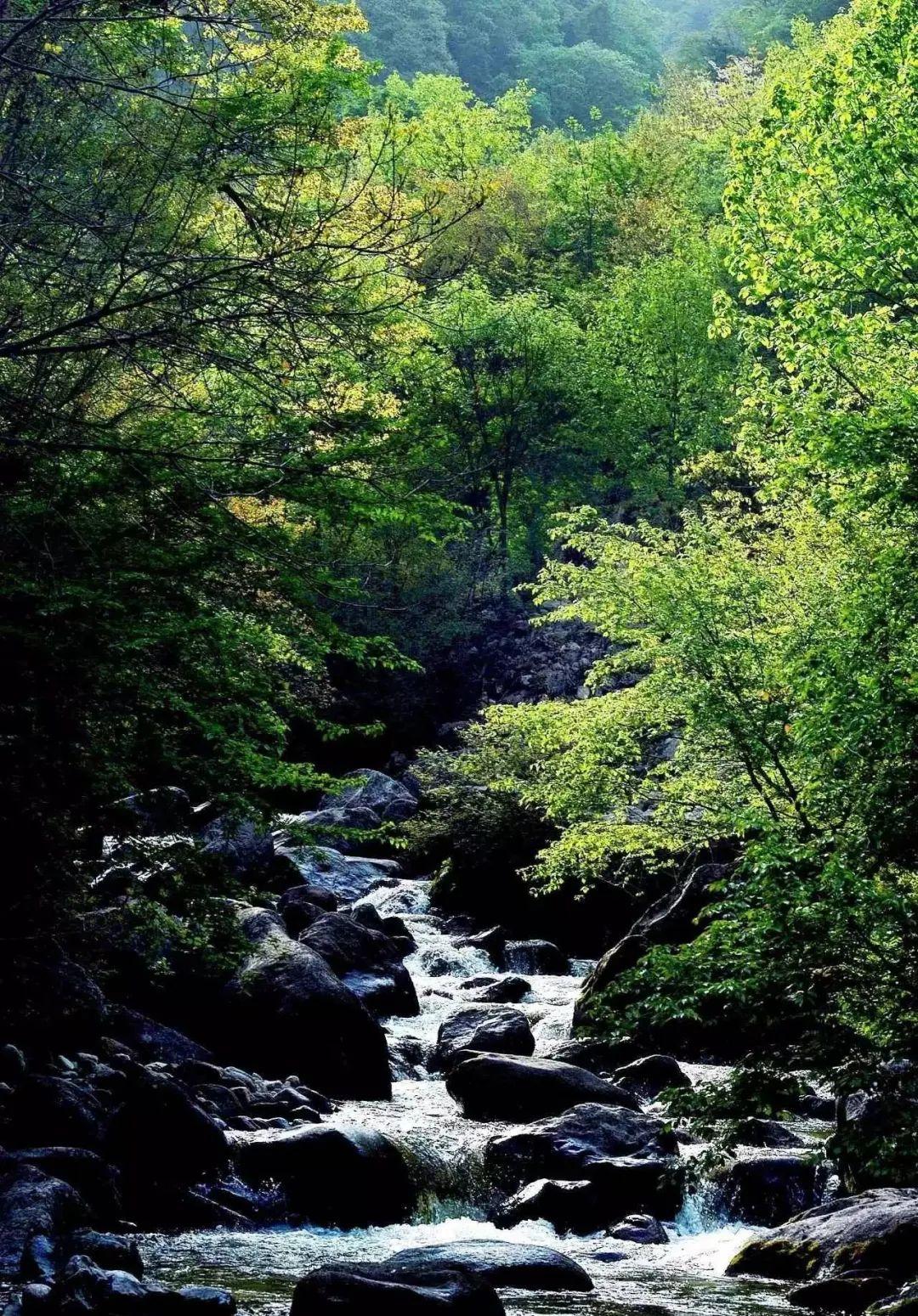 最新空调技术,自然美景的心灵之旅体验