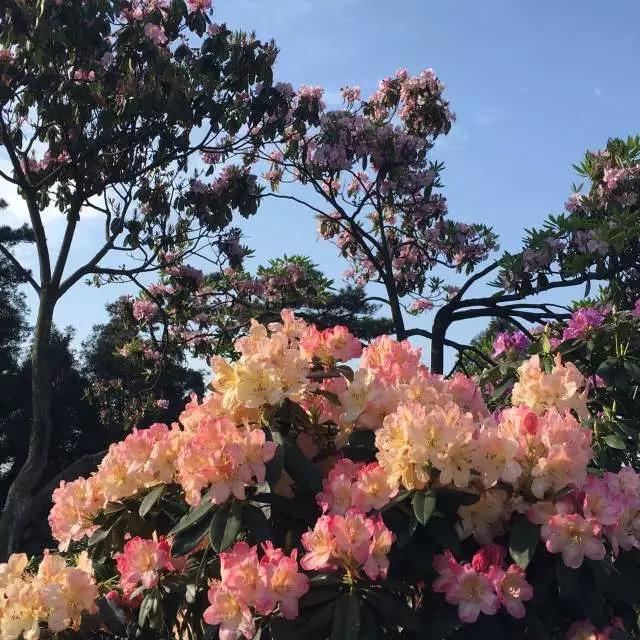 最新空调技术,自然美景的心灵之旅体验