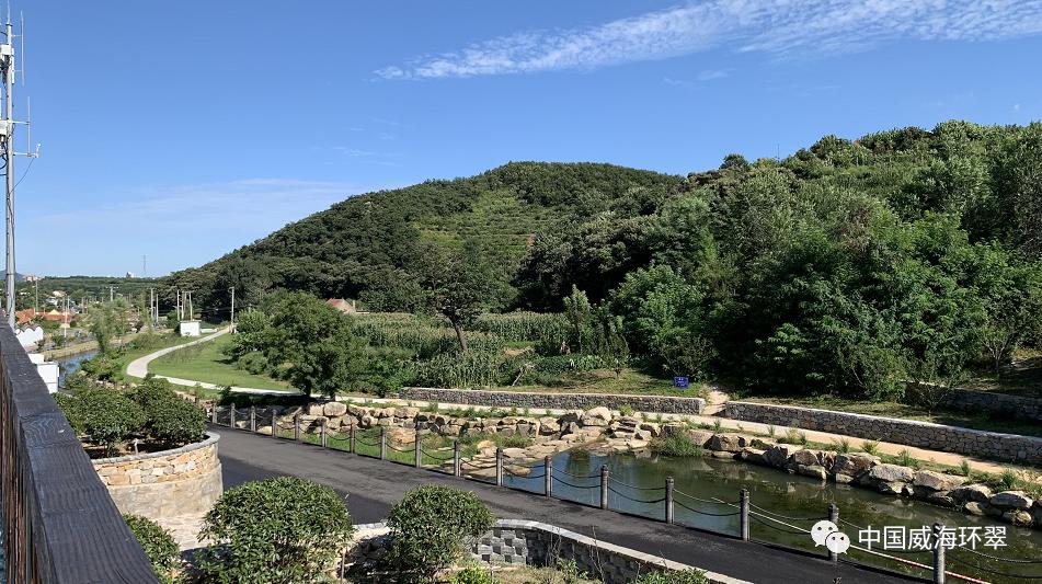 新网球王子最新,心灵与自然的美景之旅