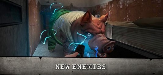 肉先生最新版本,变化中汲取力量,励志铸就辉煌之路