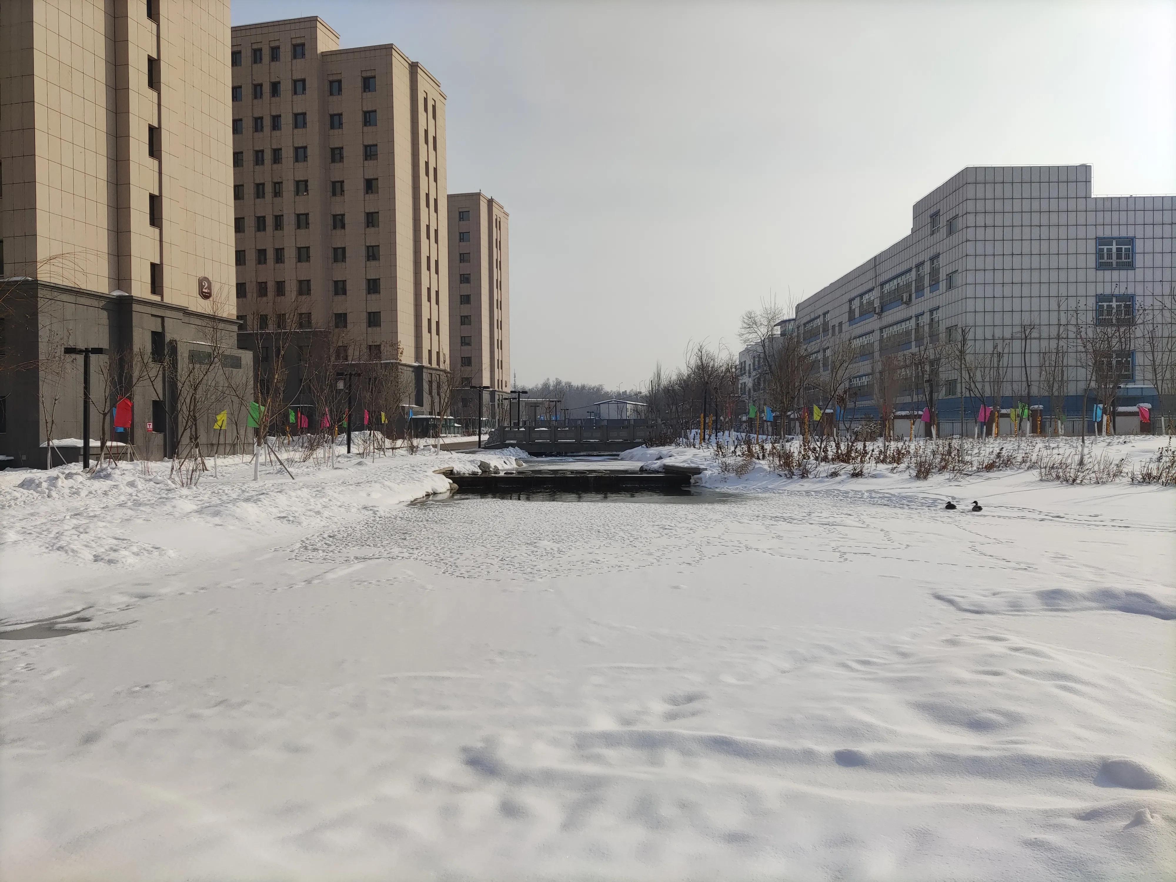 乌鲁木齐最新楼盘,城市繁荣之地的热门选择