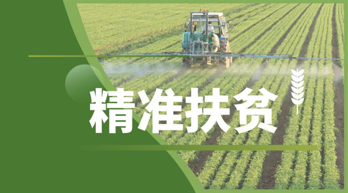 ady映画最新动态,热门电影与行业动态一览