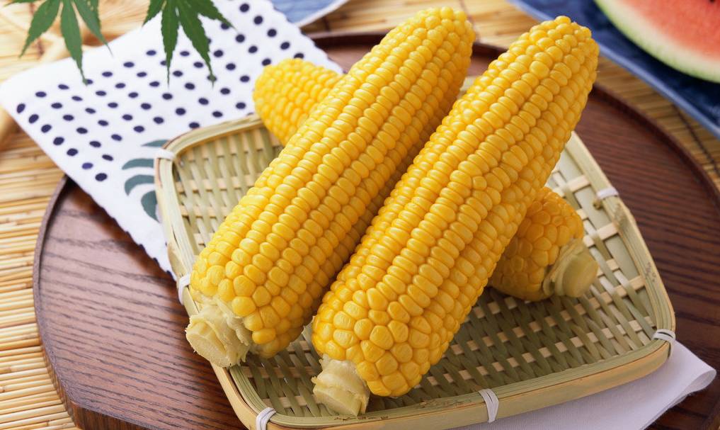 河北玉米最新价格及玉米地里的温情故事