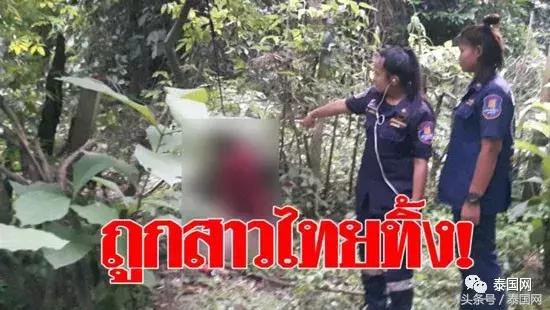 新泰房价最新动态,科技居住梦想与前沿体验的未来引领