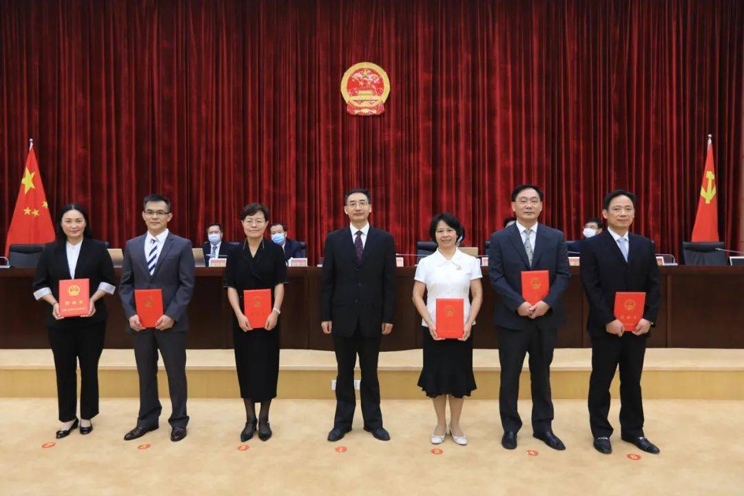 中国最新人事任免动态解析及影响