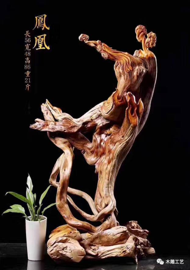 崖柏科技新品震撼发布,改变生活的崖柏最新消息!