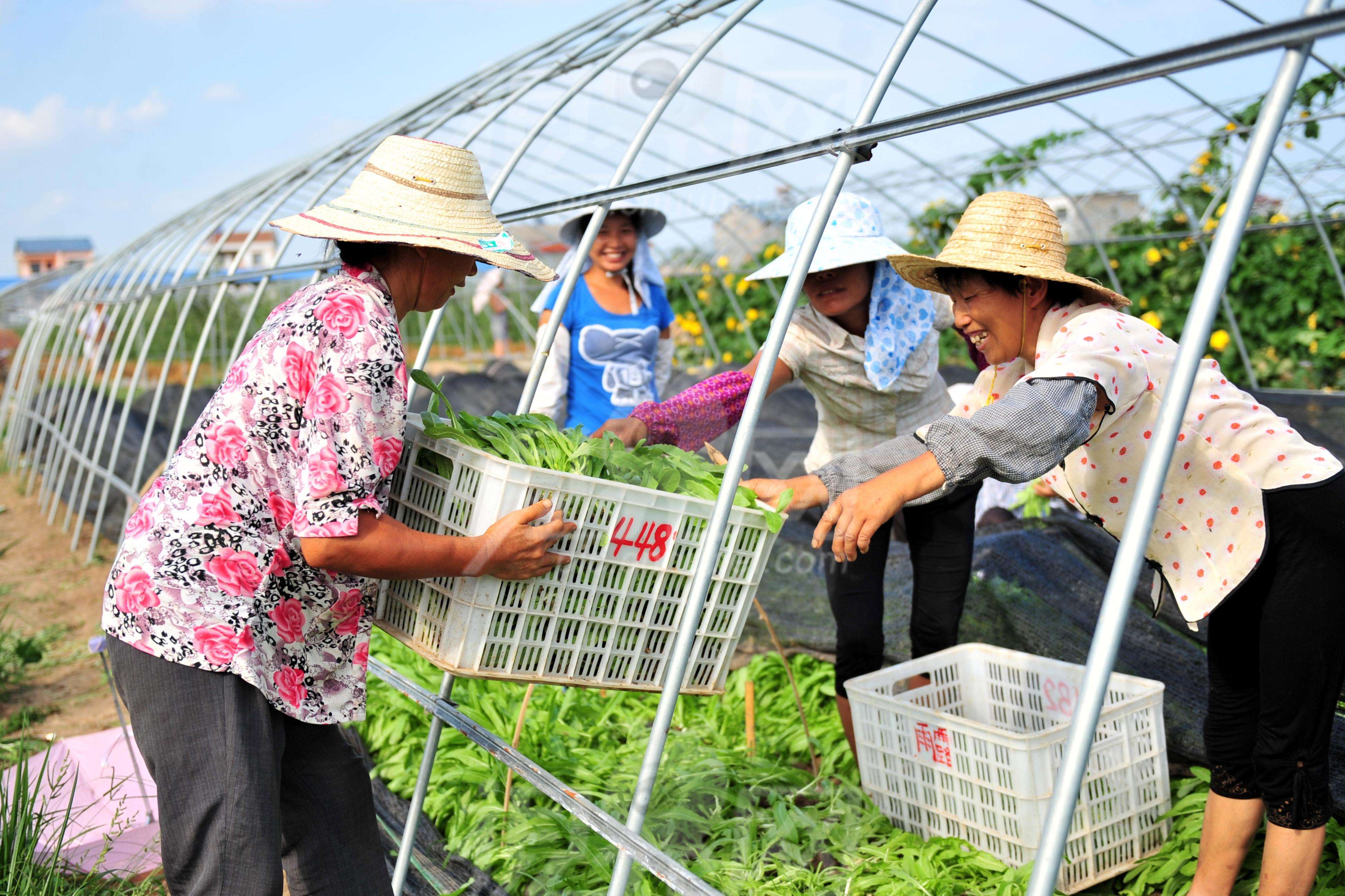 合作社最新政策下的温馨日常风采展示