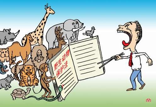 野生动物保护法最新进展及其影响,一种观点的深入阐述