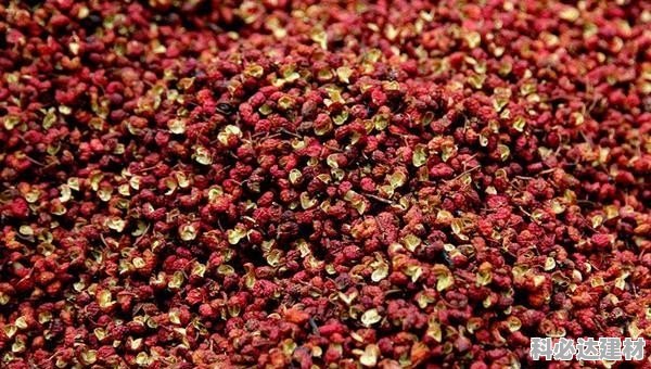 最新花椒价格概览,全面理解与获取步骤指南