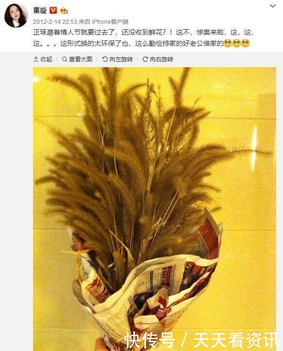 高云翔最新动态揭秘,小巷深处的独特风情