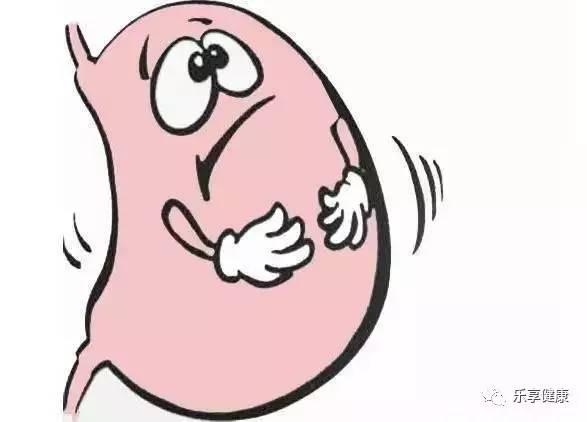 石家庄出入最新规定详解,初学者完全攻略版