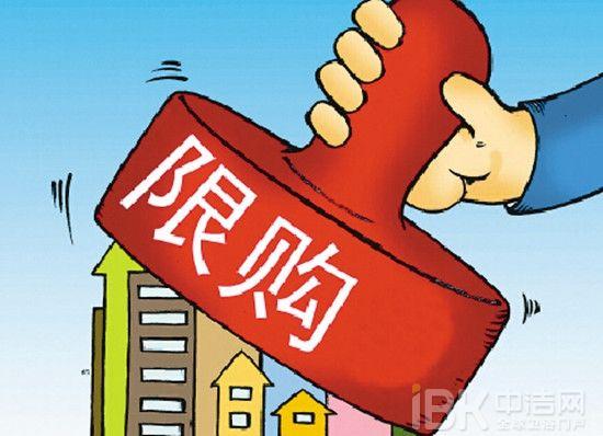 多维度视角下的房产限购政策深度探讨