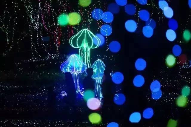 最新灯光,探寻内心平静的照明之旅