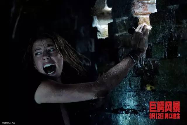 最新欧美恐怖电影,成长路上的刺激与挑战,变化与自信的催化剂