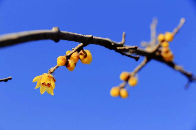 草留最新,人生如绿草常新