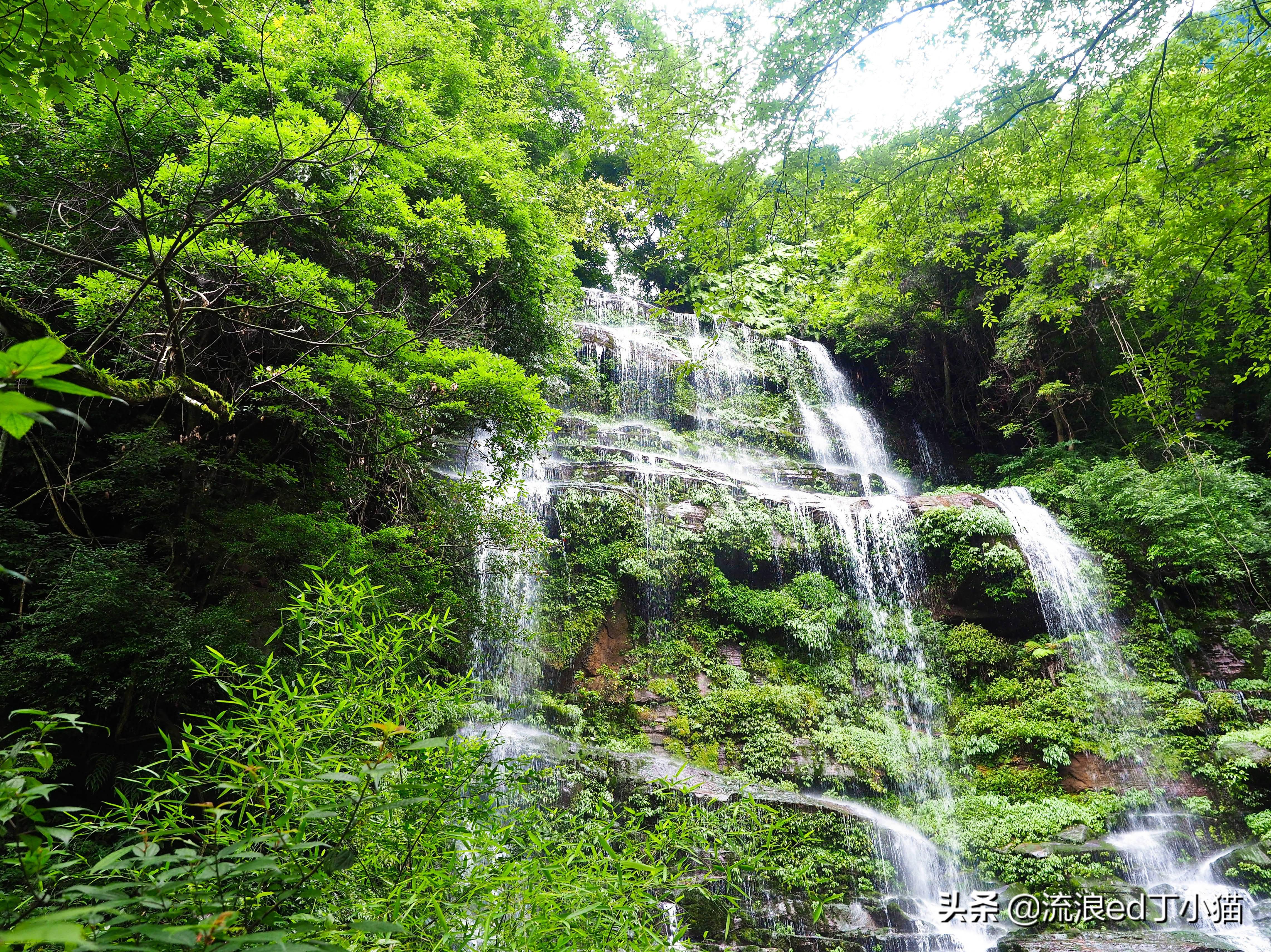 成都楼盘最新动态,家的故事与友情的温馨纽带