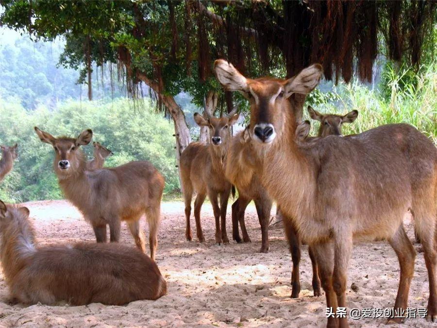 最新草原法,变革之力与自信成就之源