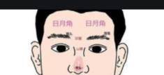 揭秘金8天国,探索其独特魅力与特点