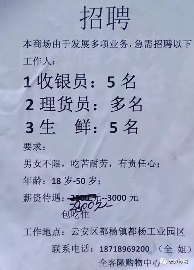 靖西最新招聘信息,职场与友情的温馨交汇点