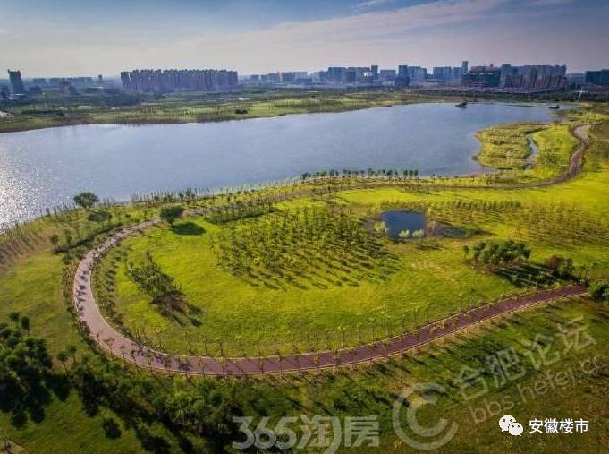 合肥柏堰湖最新动态揭秘,巷弄深处的美食秘境探索