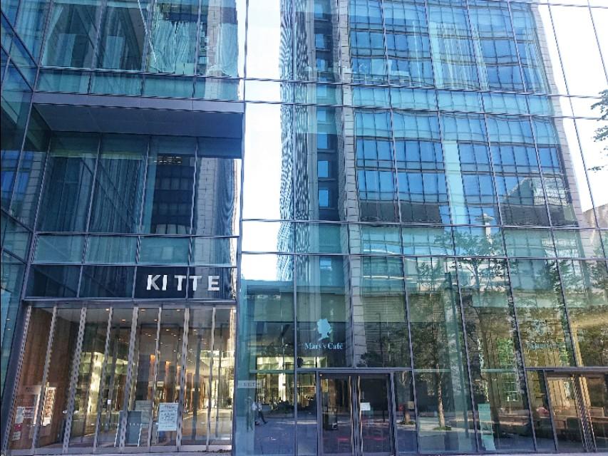 石家庄东京北最新动态,温馨日常趣事分享